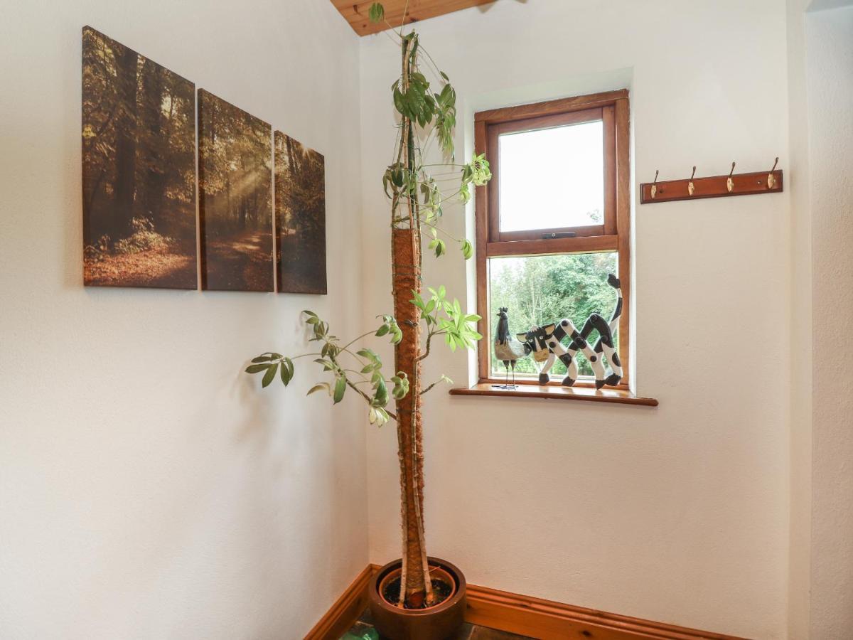 Silver Birch Cuar an Chláir 외부 사진