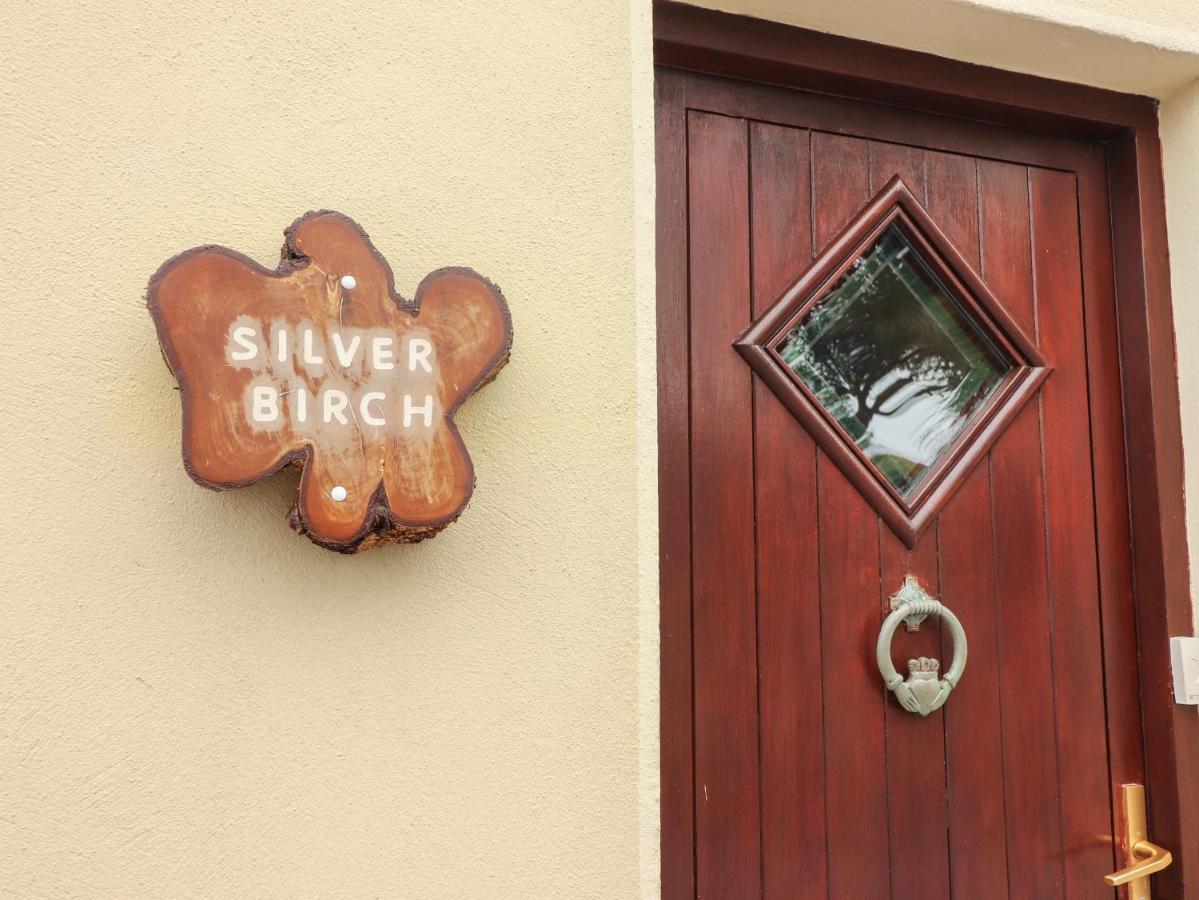 Silver Birch Cuar an Chláir 외부 사진
